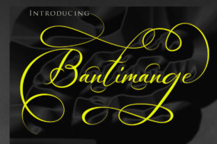 Bantimange: Evaluating a Bold Script Font for Modern Design Projects