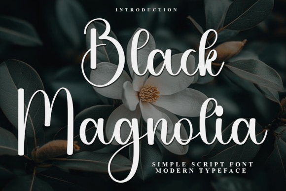 Black Magnolia: The Modern Script Font for Effortless Elegance